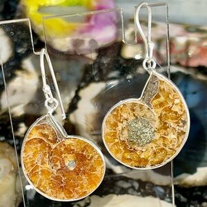 Earthy Ammonite Earrings 1 1/2”